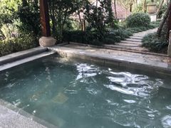 -天目湖涵田半山温泉