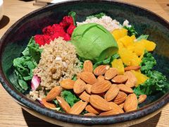 芥子酱羽翼甘蓝沙拉-小大董·烤鸭(凤凰汇店)