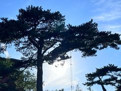-妙峰山风景名胜区