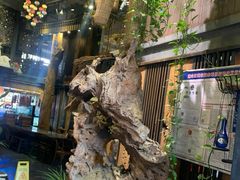 -路小缦·珍馐美馔(市心北路店)
