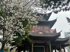 -堤角公园