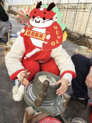 -前小桔亲子创意农场·草莓采摘·露营烧烤
