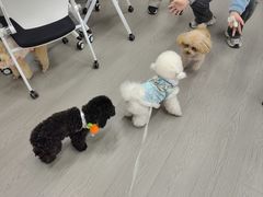 -星光摄影器材城