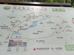 -广东茂名森林公园