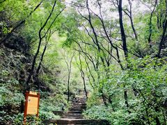 -老象峰