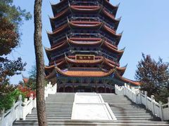 -铁山坪森林公园