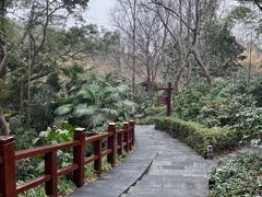 -天目湖御水温泉·度假酒店