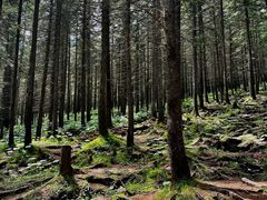 -芦芽山旅游度假区