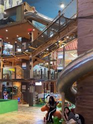 -卡通尼·Safari非洲探索乐园·生日会(金桥国际商业广场店)