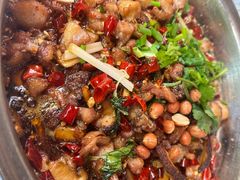 -食神又名厕所兔