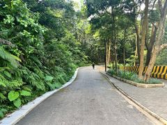 -广州市帽峰山景区