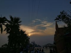 -上海海昌海洋公园