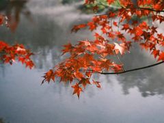 -田野绿世界
