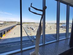 -米兰-马尔彭萨机场