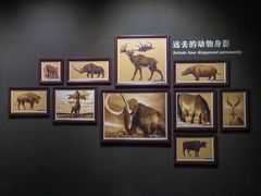 -大庆市博物馆