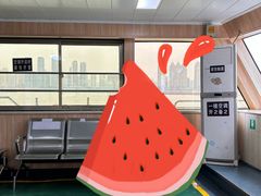 -武汉关码头(轮渡站)