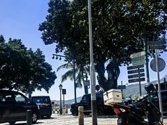 -路环码头面馆
