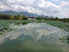 -飞来湖湿地公园