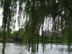 -白塘生态植物园