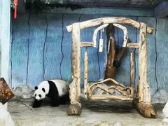 -海南热带野生动植物园