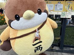 -江苏三台山国家森林公园