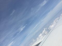 -新加坡航空公司(ION)