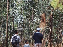 -昆明春城湖畔度假村