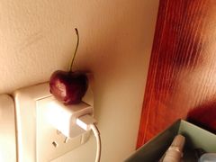-菜园坝水果市场