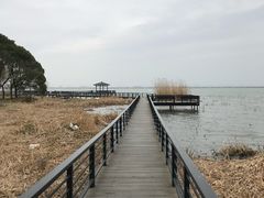 -莲花岛景区