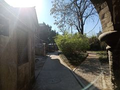 -山东大学(趵突泉校区)