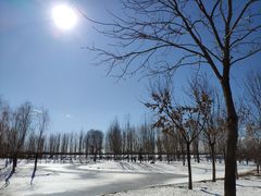 -东郊湿地公园