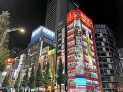 -秋叶原电器街
