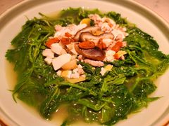 上汤桑叶苗-大榕树下顺德菜(融创茂店)