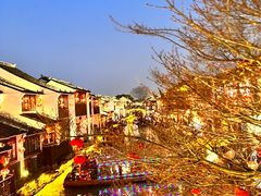 -鑫震源·苏式大虾生煎(山塘街店)