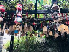 -慢丽江·云南野生菌土鸡锅(付家庄店)