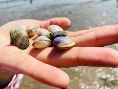 -天津东疆湾沙滩景区