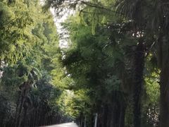 -上海海湾国家森林公园