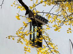 -丝绸小镇荻港古村