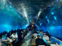 -海棠湾洲际-涛·海底餐厅·美人鱼·自助餐·海底隧道