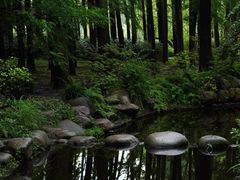 -上海共青森林公园