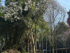 -苏州环秀晓筑养生度假村