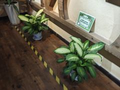 -萌宠奇缘(荣鼎店)