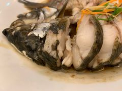 -椿记烧鹅(叠彩店)