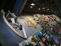 -浙江自然博物院(杭州馆)