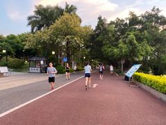 -南宁南湖公园