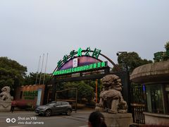 -森谷美食公园(杨行店)