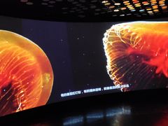 -同济大学四平路校区深海探索馆
