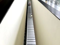 -四川大学博物馆