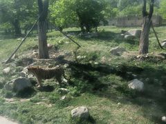 -西安秦岭野生动物园