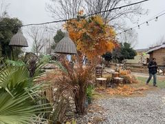 -HERRE·FARM 赫尔露营农场·团建聚会包场